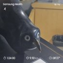 (주)스퀘어팜 | 캐나다 토론토 워홀 +446 : TIFF Volunteering, Grazie, 새 집 이사, THAI Festival, BRITA NIGHT RUN...