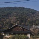 코스모스와 메밀가든 이미지