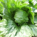 진월농장 이미지