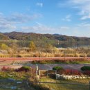 마음농장 with stay 이미지