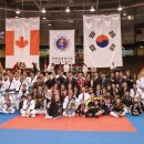 월드합기도 이미지