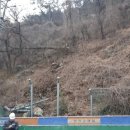 을숙도초등학교 이미지