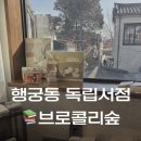 수원-1507 | [수원] 브로콜리숲 | 감성적인 공간이지만 아쉬움도 남았던 후기 재방문 의사 없음