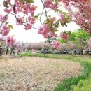 월곡역사공원 이미지