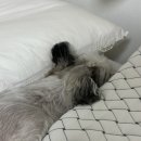 메들리2 노래연습장 이미지