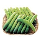 🥒오이 노각(老脚)) 효능 이미지