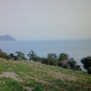 금오도공인중개사사무소 이미지