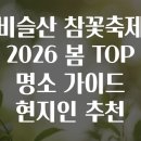 와룡산(동) | 비슬산 참꽃축제 2026 봄 TOP 명소 가이드 현지인 추천