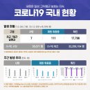 코로나 19 국내 발생 현황 (7월 3일 00시 기준) 이미지