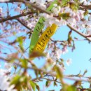 산과들과바다와함께 이미지