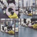 오수동물병원 이미지