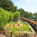 바다가 보이는 정원 이미지