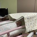 서울아산병원 출산일지 2 : 제왕절개 3박 4일 모자동실 후기