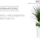 남양꽃집힐링플라워 이미지