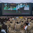 춘천시동물보호센터 이미지