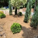 신월동017 이미지