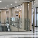 아코토리(acotory) | 일산 킨텍스 케이크 추천 아코토리 앙금 플라워 떡케이크 후기