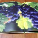 나용농장 이미지