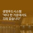 생명푸드시스템 네이버블로그