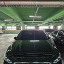 다음렌트카 이미지