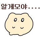 제주서귀돈 이미지