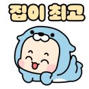 넬시스템 이미지