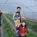 광천농장 이미지