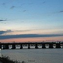 원예복지사 이미지