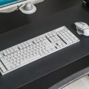 게이밍 키보드 로지텍 G915 X LIGHTSPEED 풀사이즈 후기