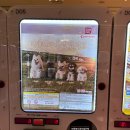 리틀아트 미니어쳐 | 또다시 들린 판교 가샤폰 스트리트_팝업스토어_현대백화점 판교점 5층_25.05.18까지_25.04.26 방문 후기