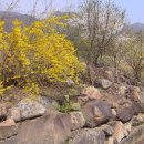 상천리경로당 이미지