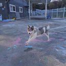 들어오시개 이미지