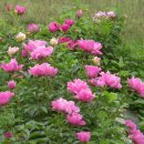 설천초등학교 이미지