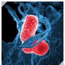 미래약품 주식회사 이미지