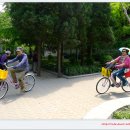 스차하이 * 후통거리 이미지