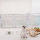 미소댕댕 이미지