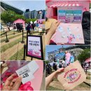 백호2태권도 | 해치팬파티 후기 서울광장에서 펼쳐진 해치체험존 미션 스탬프 굿즈까지