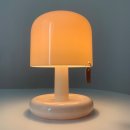 쁘띠PC | 로이체 왕쁘띠 무드등 내돈내산 후기