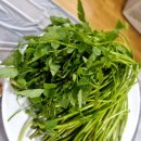 갓바위황토숯가마 이미지