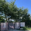 어싱사계 이미지