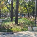 노변근린공원 이미지