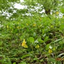 도진(박달2리) 이미지