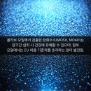 프랑스올리브 이미지