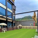 루이비독 이미지