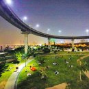 뚝섬한강공원-4 이미지