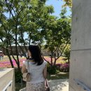 한솔문화기획 | 원주 뮤지엄산 이배전시 후기, 뮤지엄산예약방법