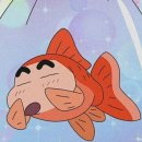 오이탈리안 이미지