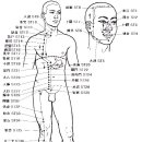 04.족양명위경 이미지