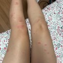 윤아당구장 | 벌써 10월