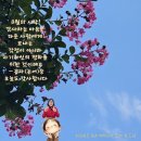 해피강사의 8월 시작 안부 응원인사 이미지